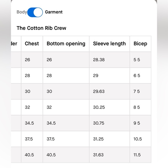 Everlane Cotton Ribbed Crew - Picture 8 of 8